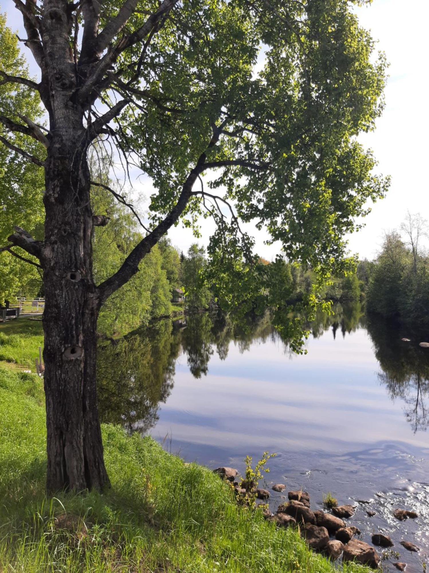 Huhtaniemen Moekkikylae Hotel Veteli Екстериор снимка